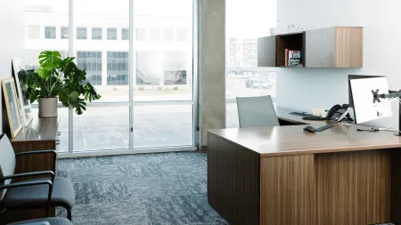 Modern office with wooden desk, computer, gray chairs, large windows, and indoor plant in natural light.