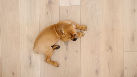 Hardwood Floors